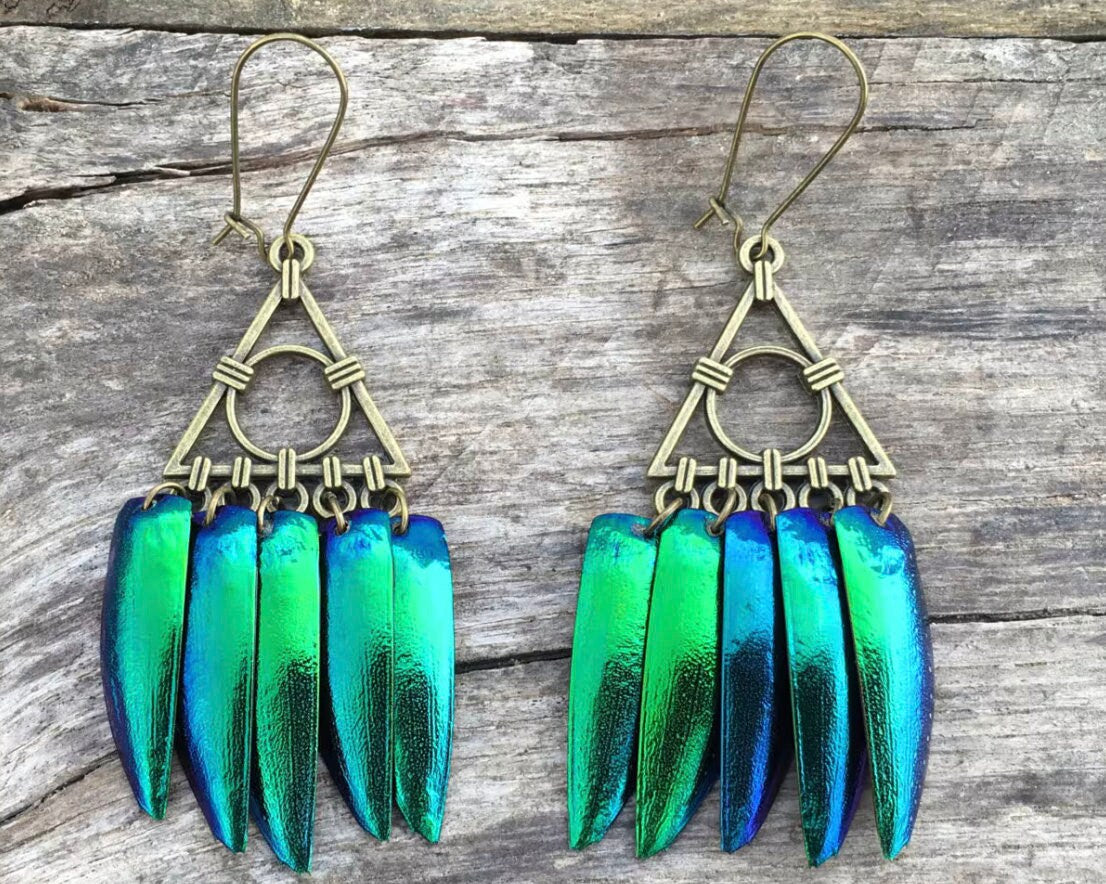 Real beetle wing earrings Fringe earring scarab beetle earrings Edgy earrings Gold triangle earrings Jewel beetle Green elytra
