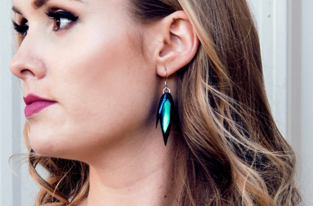 Real Beetle wing earrings Insect earrings Beetle earrings Real bug earrings Jewel beetle wing jewelry Insect wing earrings