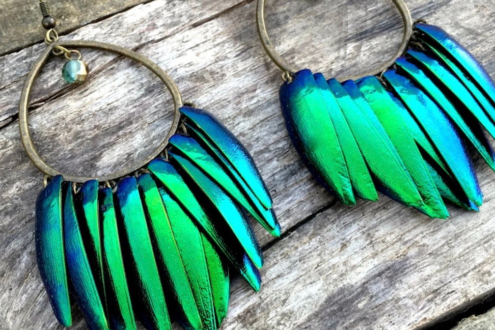 Real beetle wing earrings Taxidermy bug earrings Large statement earrings Insect earrings Elytra green beetle earrings Statement hoops