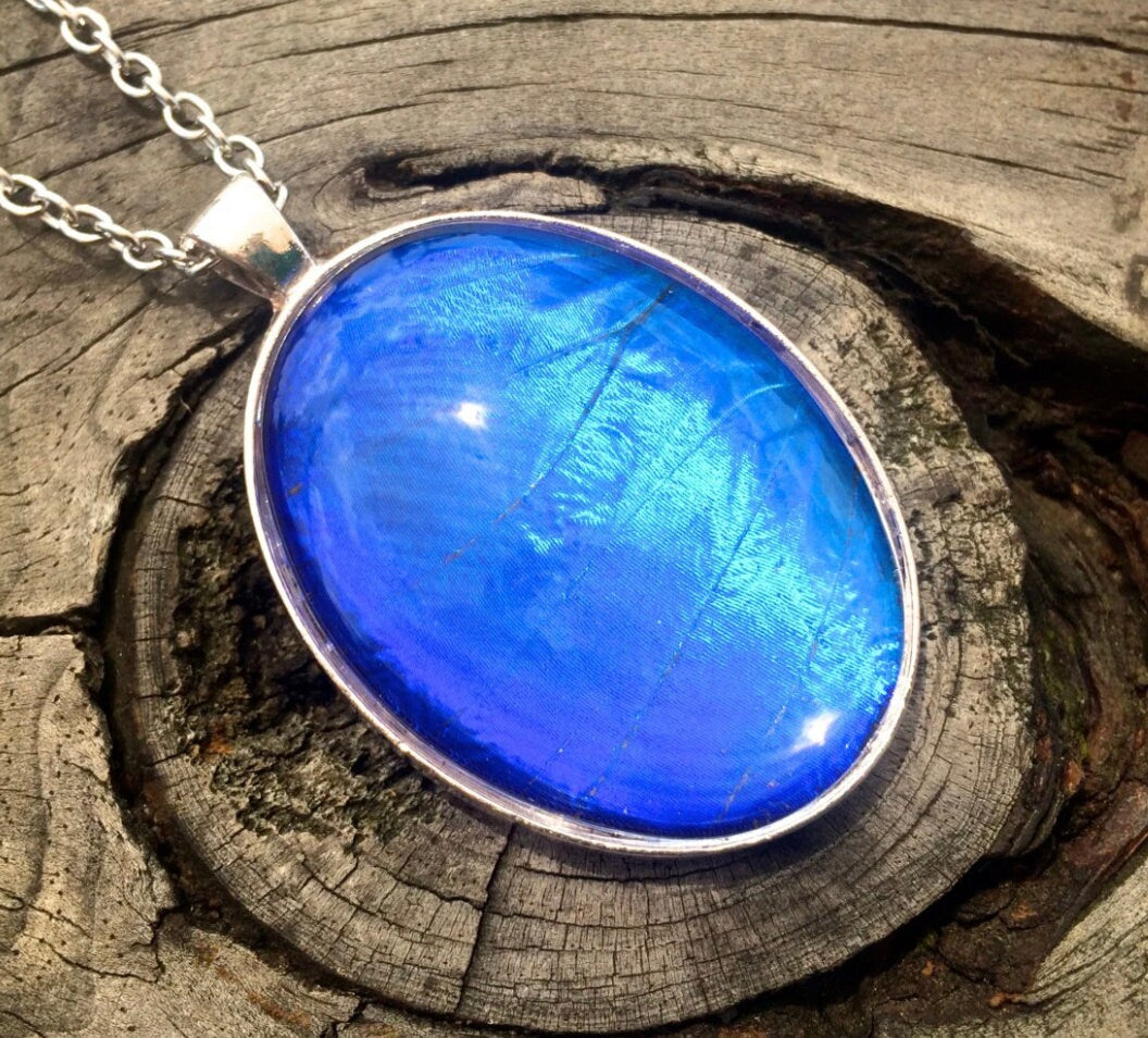 Real blue morpho butterfly pendant Sterling silver butterfly necklace September birthstone necklace blue sapphire pendant cobalt blue
