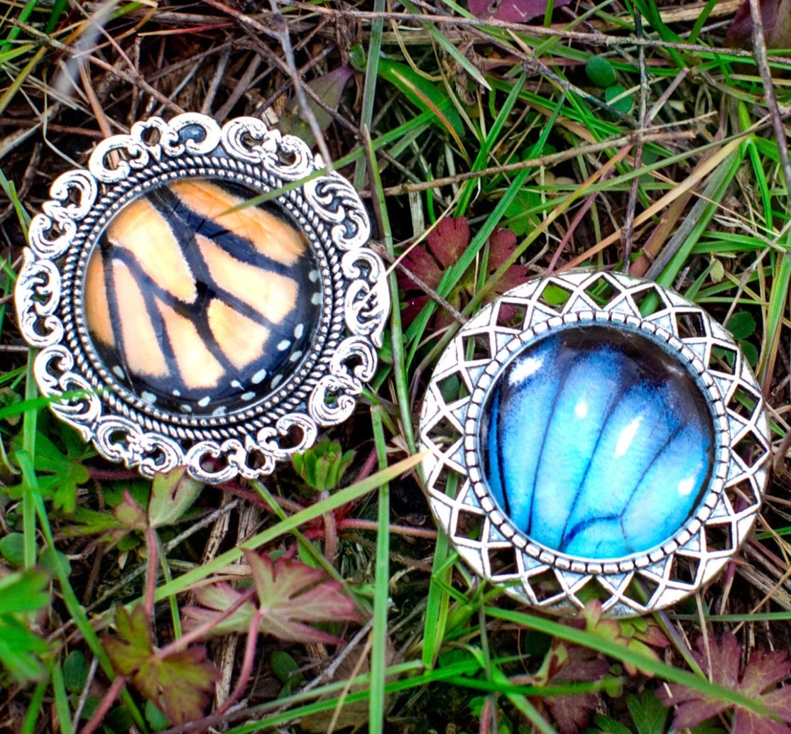 Real Butterfly brooch pin Butterfly wing jewelry Real butterfly jewelry Butterfly wing brooch Insect pin Real insect jewelry Butterfly pin