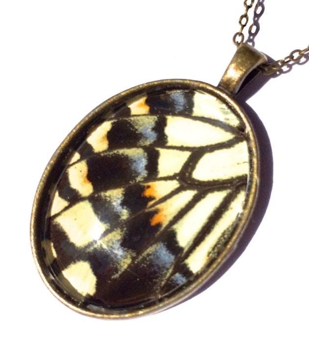 Real butterfly wing necklace Insect taxidermy jewelry Swallowtail butterfly necklace Pressed flower necklace Yellow butterfly pendant