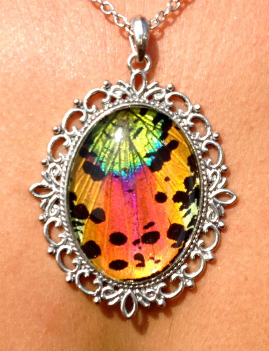 Real butterfly necklace Creative wildlife jewelry Ethically sourced insect jewelry Summer jewelry Unique gifts for gf Pressed floral jewelry