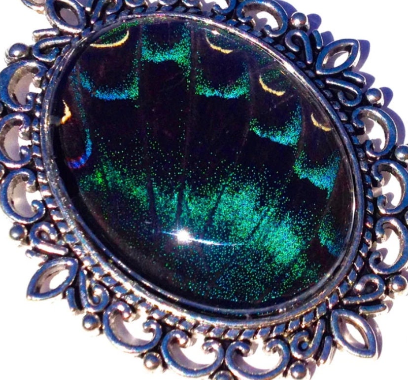 Real butterfly wing necklace Aurora Borealis Jewelry Northern lights necklace Nature-inspired jewelry Silver butterfly necklace Nature gifts