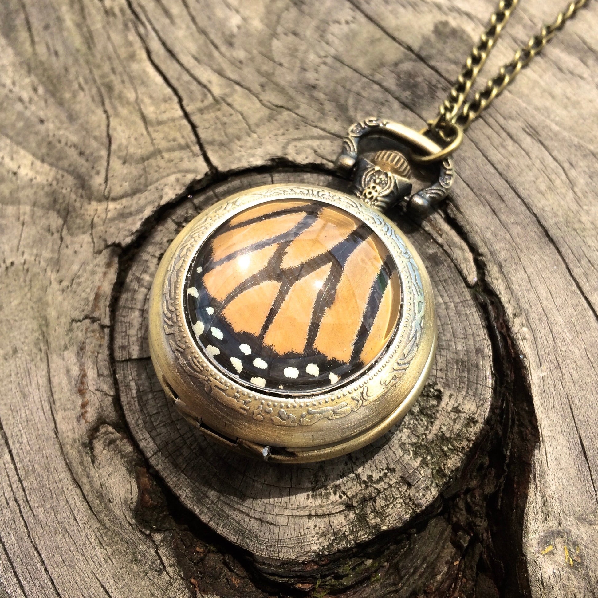 Real butterfly necklace Glass locket necklace Steampunk pocket watch necklace Fantasy jewelry Steampunk jewelry Working pocketwatch necklace