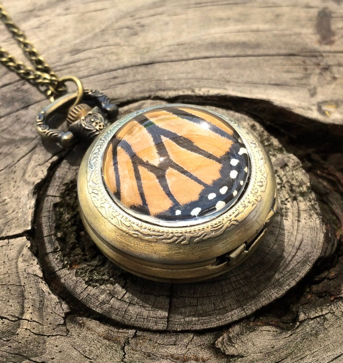 Real butterfly necklace Glass locket necklace Steampunk pocket watch necklace Fantasy jewelry Steampunk jewelry Working pocketwatch necklace