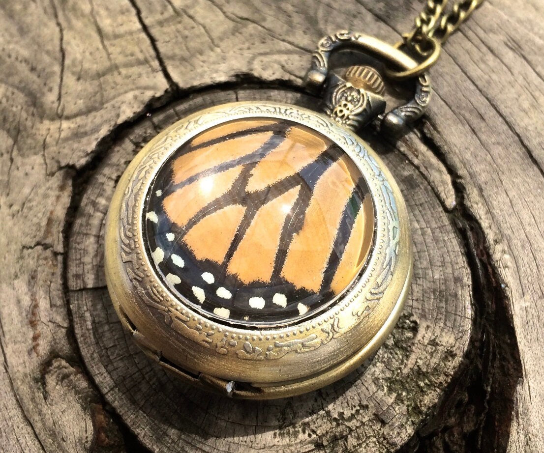 Real butterfly necklace Glass locket necklace Steampunk pocket watch necklace Fantasy jewelry Steampunk jewelry Working pocketwatch necklace