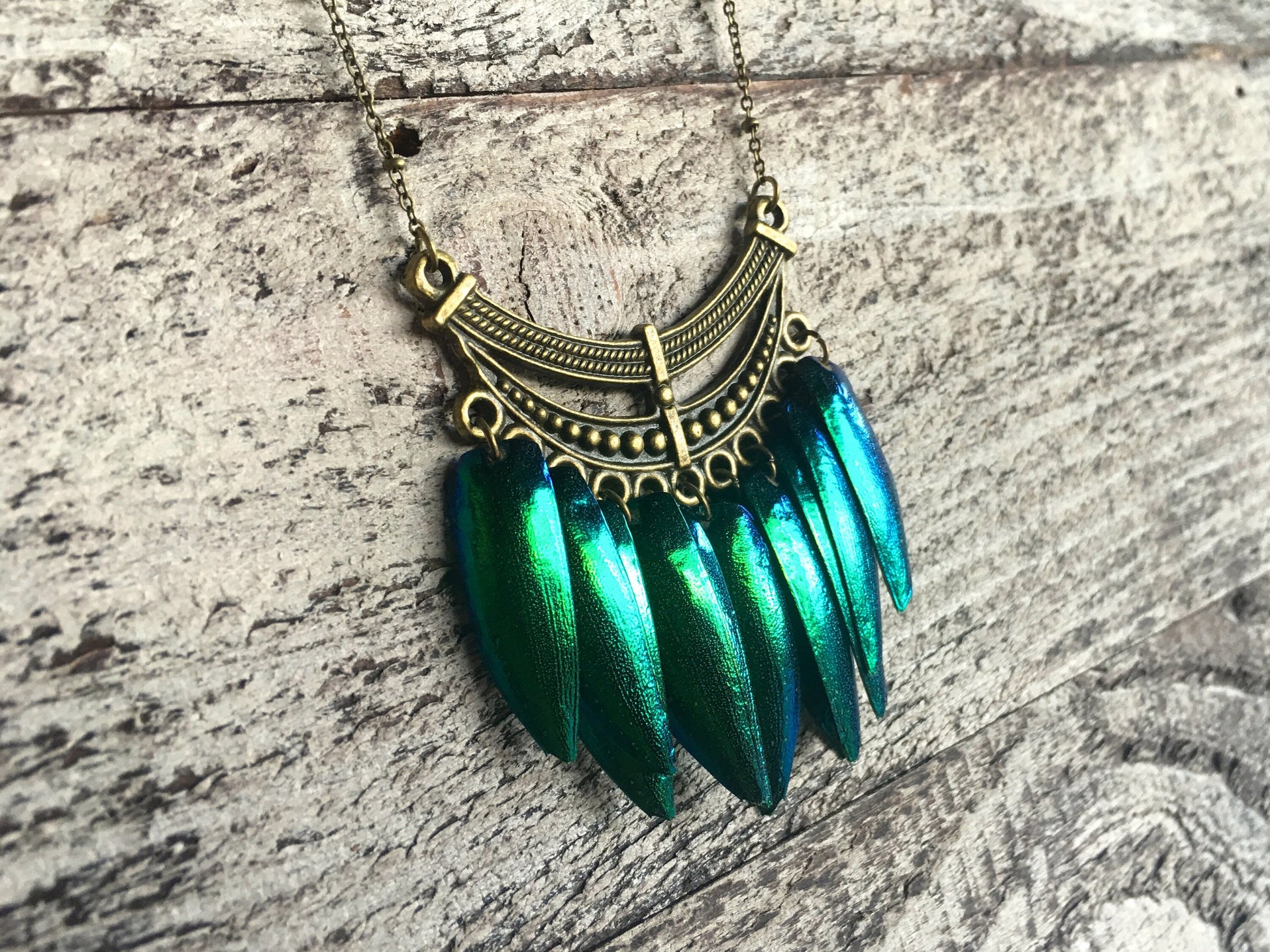 Real beetle necklace Real beetle wing jewelry Taxidermy beetle wing necklace Mermaid necklace Green Elytra jewelry Real insect necklace