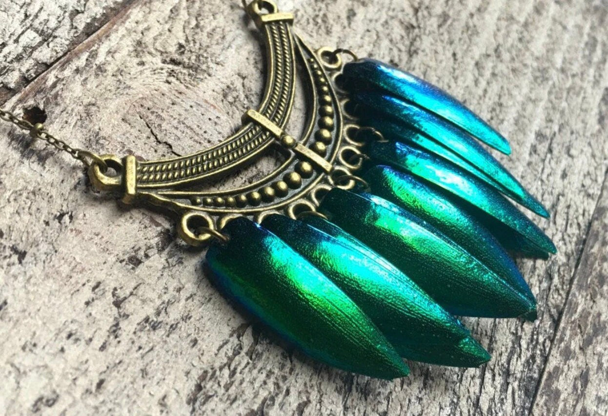 Real beetle necklace Real beetle wing jewelry Taxidermy beetle wing necklace Mermaid necklace Green Elytra jewelry Real insect necklace