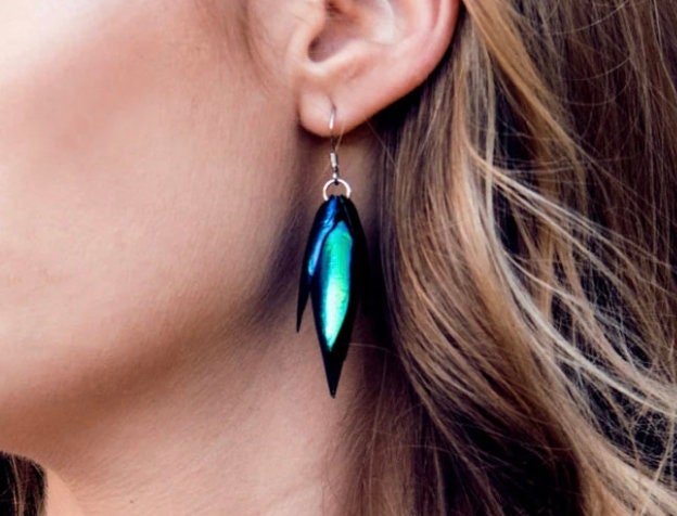 Real Beetle wing earrings Insect earrings Beetle earrings Real bug earrings Jewel beetle wing jewelry Insect wing earrings
