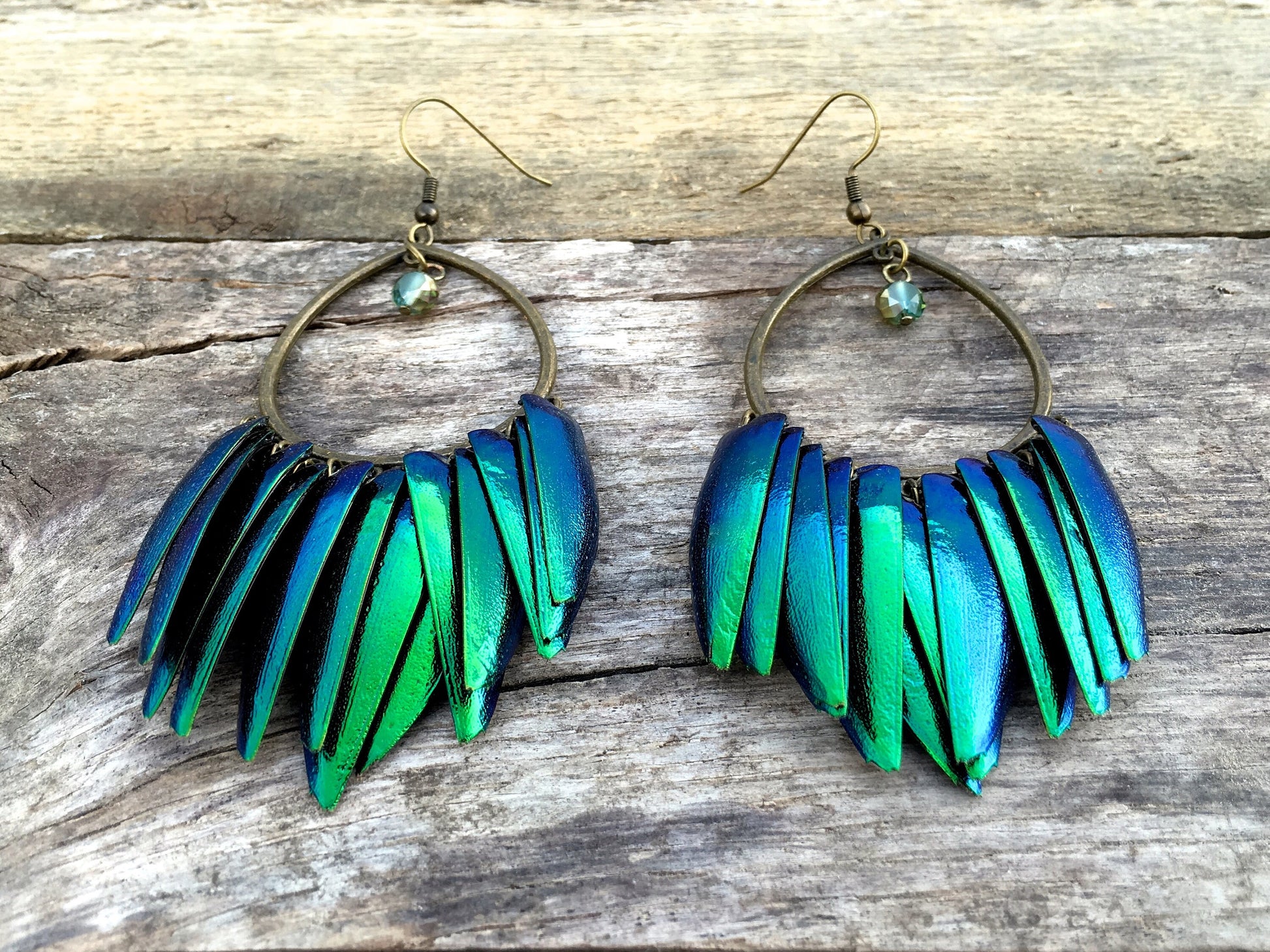 Real beetle wing earrings Taxidermy bug earrings Large statement earrings Insect earrings Elytra green beetle earrings Statement hoops