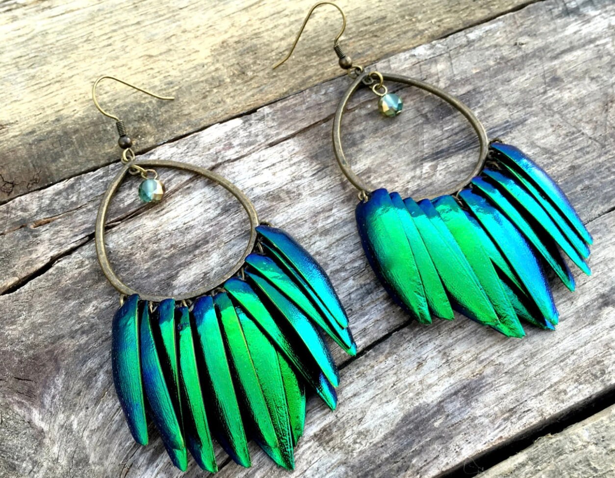 Real beetle wing earrings Taxidermy bug earrings Large statement earrings Insect earrings Elytra green beetle earrings Statement hoops
