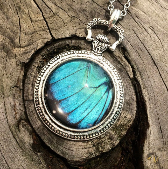 Real blue morpho butterfly necklace Something blue for bride Trending now in jewelry Boho turquoise necklace Silver watch necklace