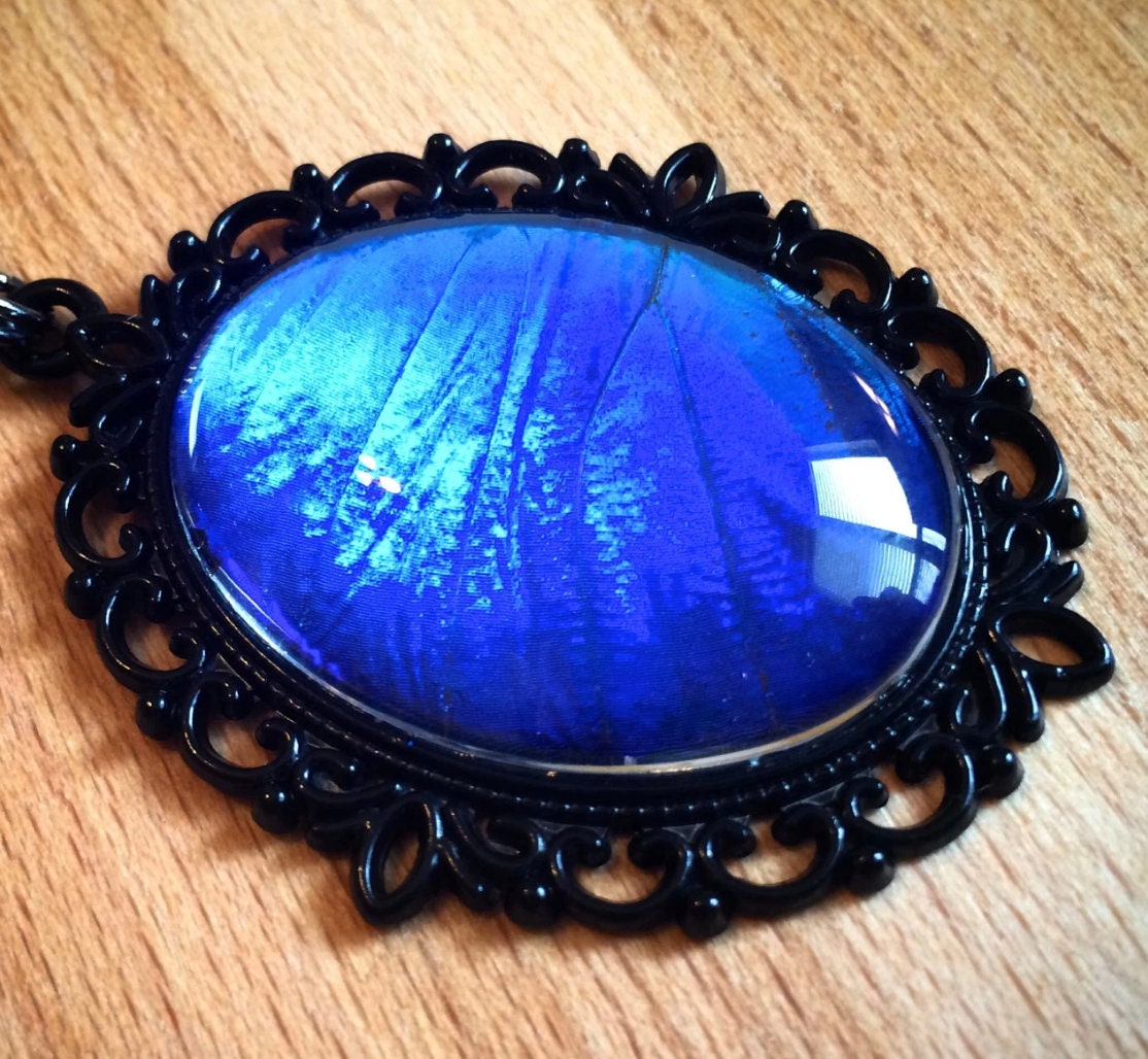 Real blue morpho butterfly wing necklace black and blue pendant gunmetal black chain aqua aura pendant Blue Sapphire Jewelry blue druzy