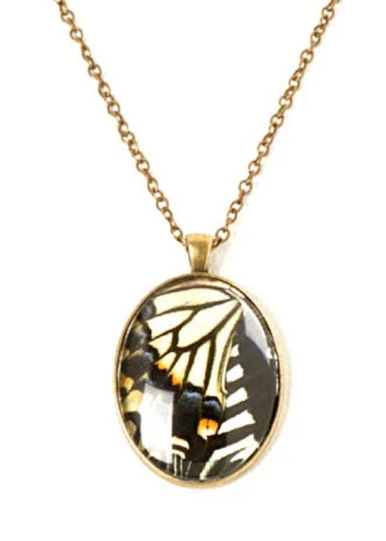 Real butterfly wing necklace Insect taxidermy jewelry Swallowtail butterfly necklace Pressed flower necklace Yellow butterfly pendant