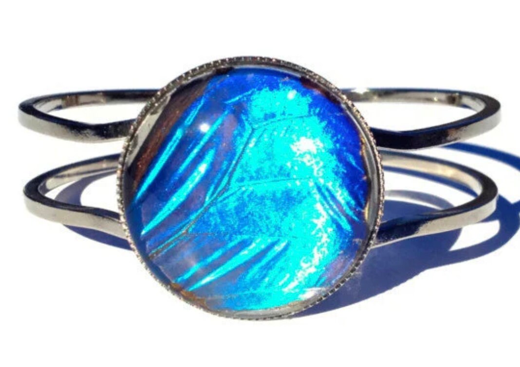 Real Blue Morpho Butterfly wing bracelet Silver butterfly bracelet Blue morpho Jewelry Butterfly cuff bracelet Bug bracelet Insect bracelet