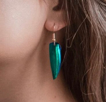 Real jewel beetle earrings Witchy earrings Insect jewelry Bug earrings Witchy jewelry Green beetle wing earrings Real insect jewelry