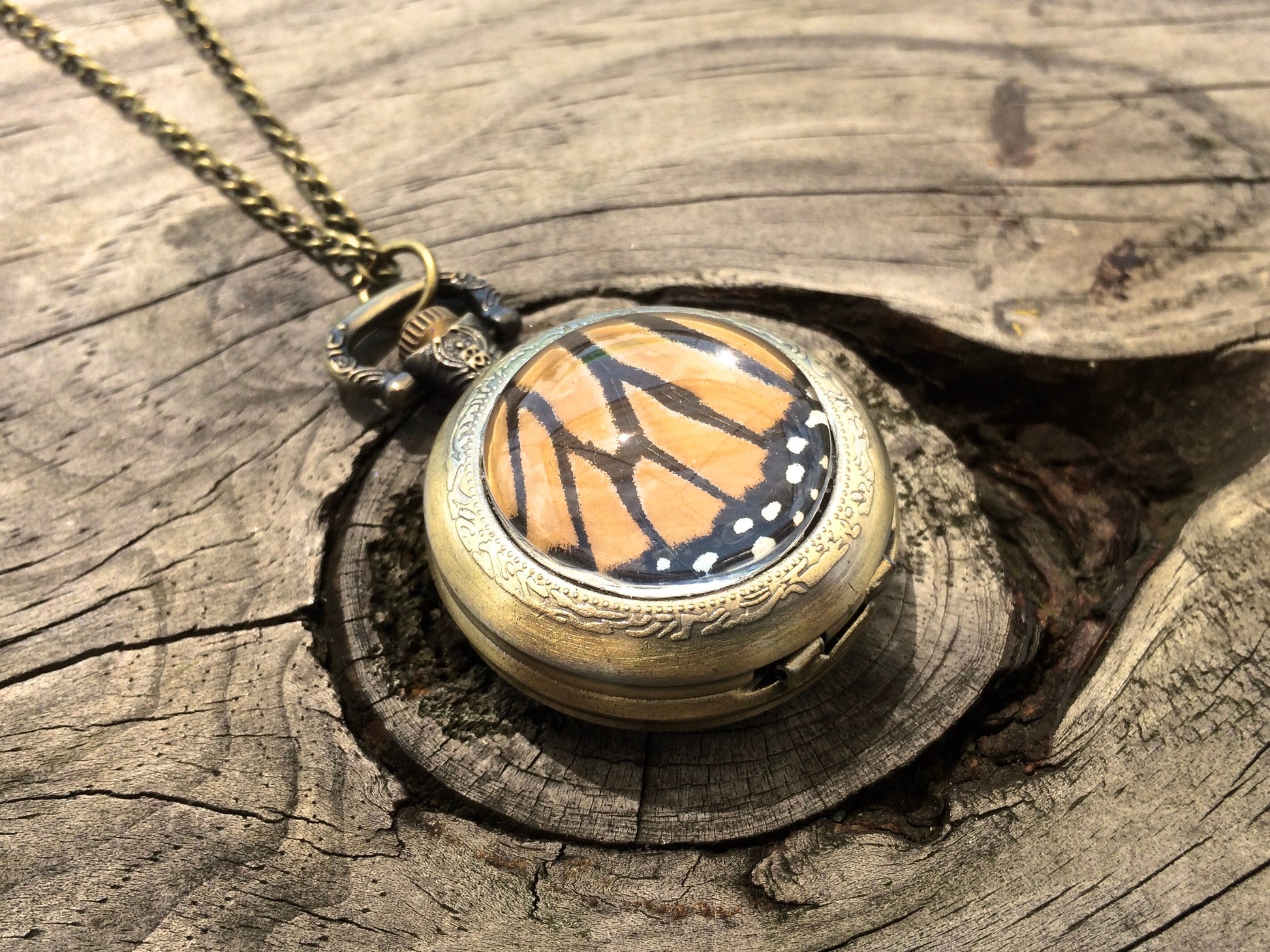 Real butterfly necklace Glass locket necklace Steampunk pocket watch necklace Fantasy jewelry Steampunk jewelry Working pocketwatch necklace