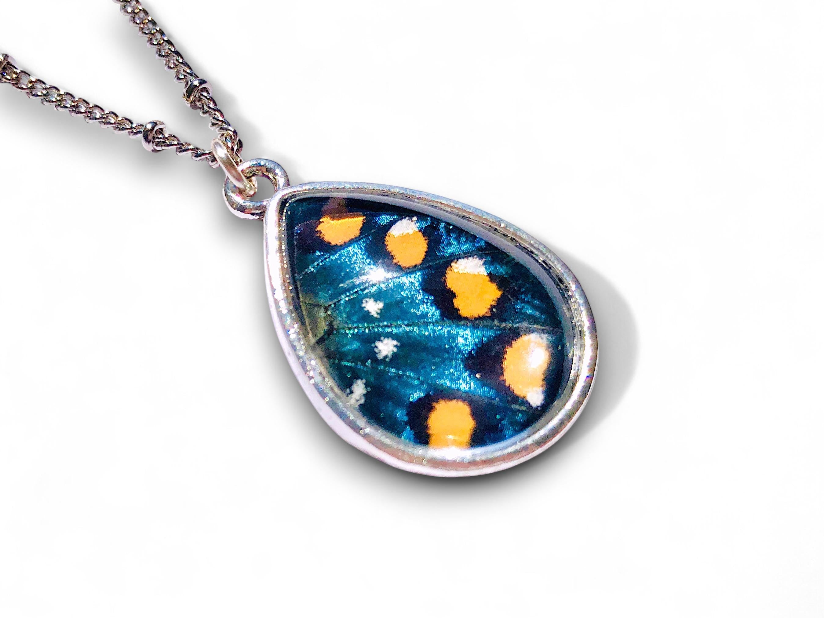 Real butterfly necklace butterfly necklace Preserved butterfly wing pendant necklace Gold butterfly charm necklace