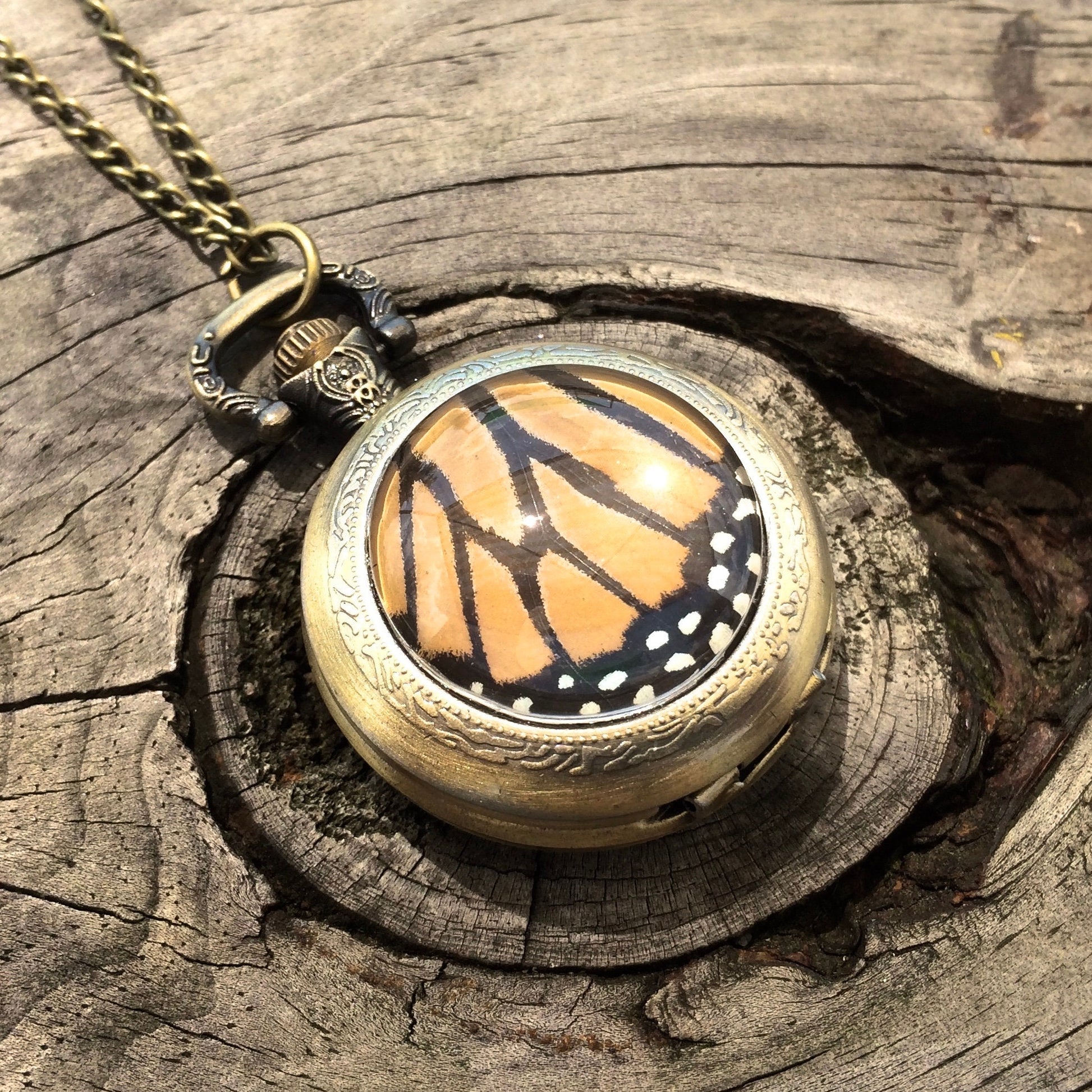 May include: A gold pocket watch with a chain. The watch face has a clear glass cover with a monarch butterfly wing inside. The butterfly wing is orange, black, and white.