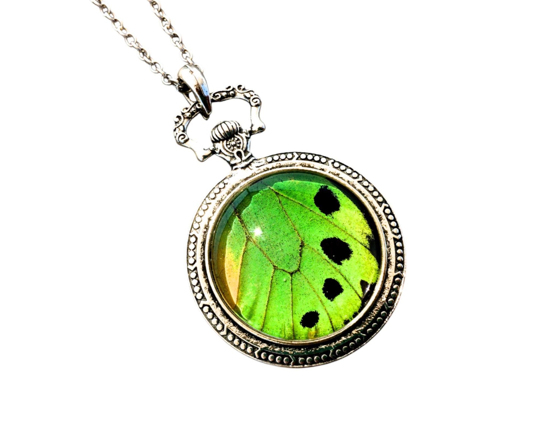 Real Butterfly wing necklace Green jewelry Moon phase necklace Silver Pocket watch necklace Insect jewelry Lime green Statement Necklace