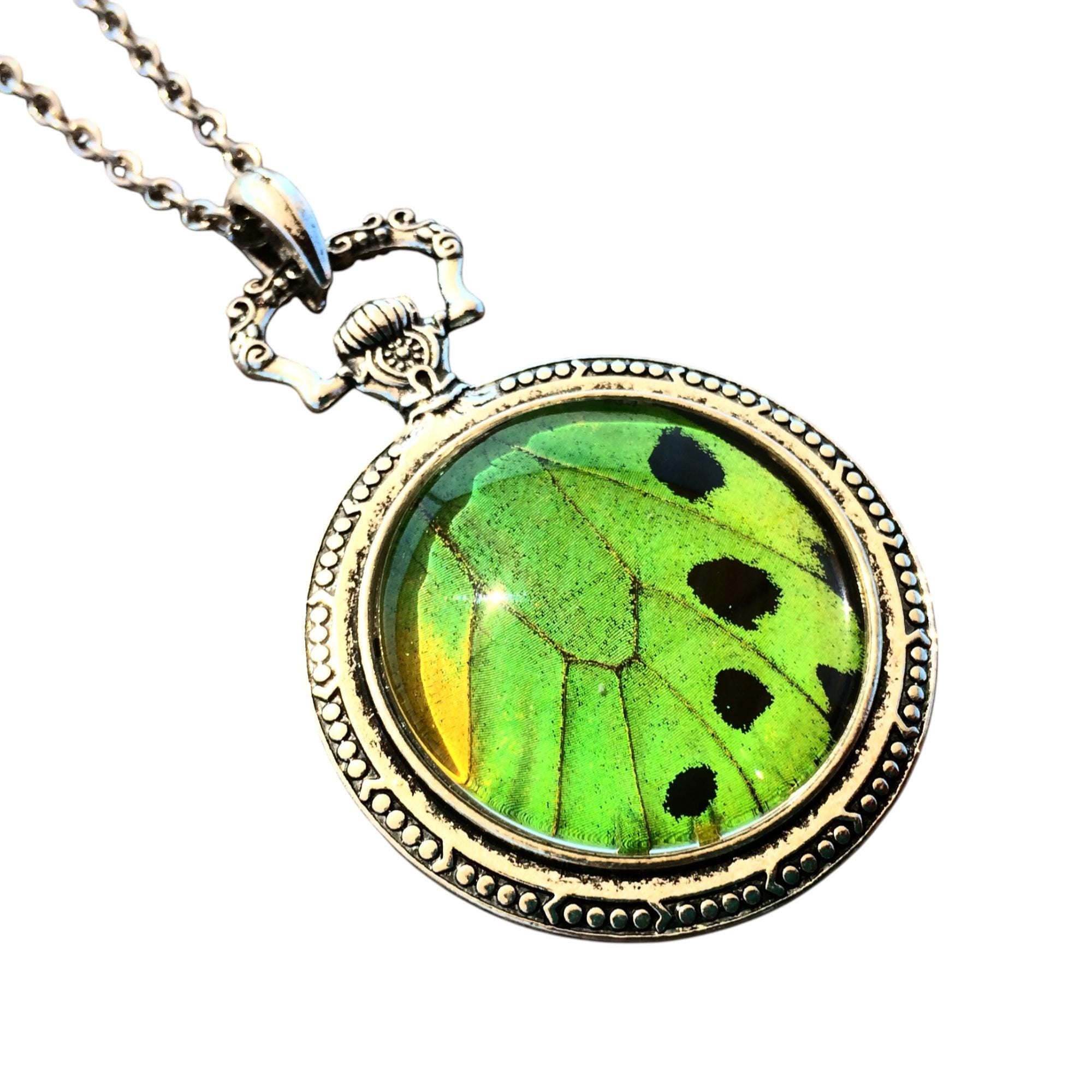 Real Butterfly wing necklace Green jewelry Moon phase necklace Silver Pocket watch necklace Insect jewelry Lime green Statement Necklace