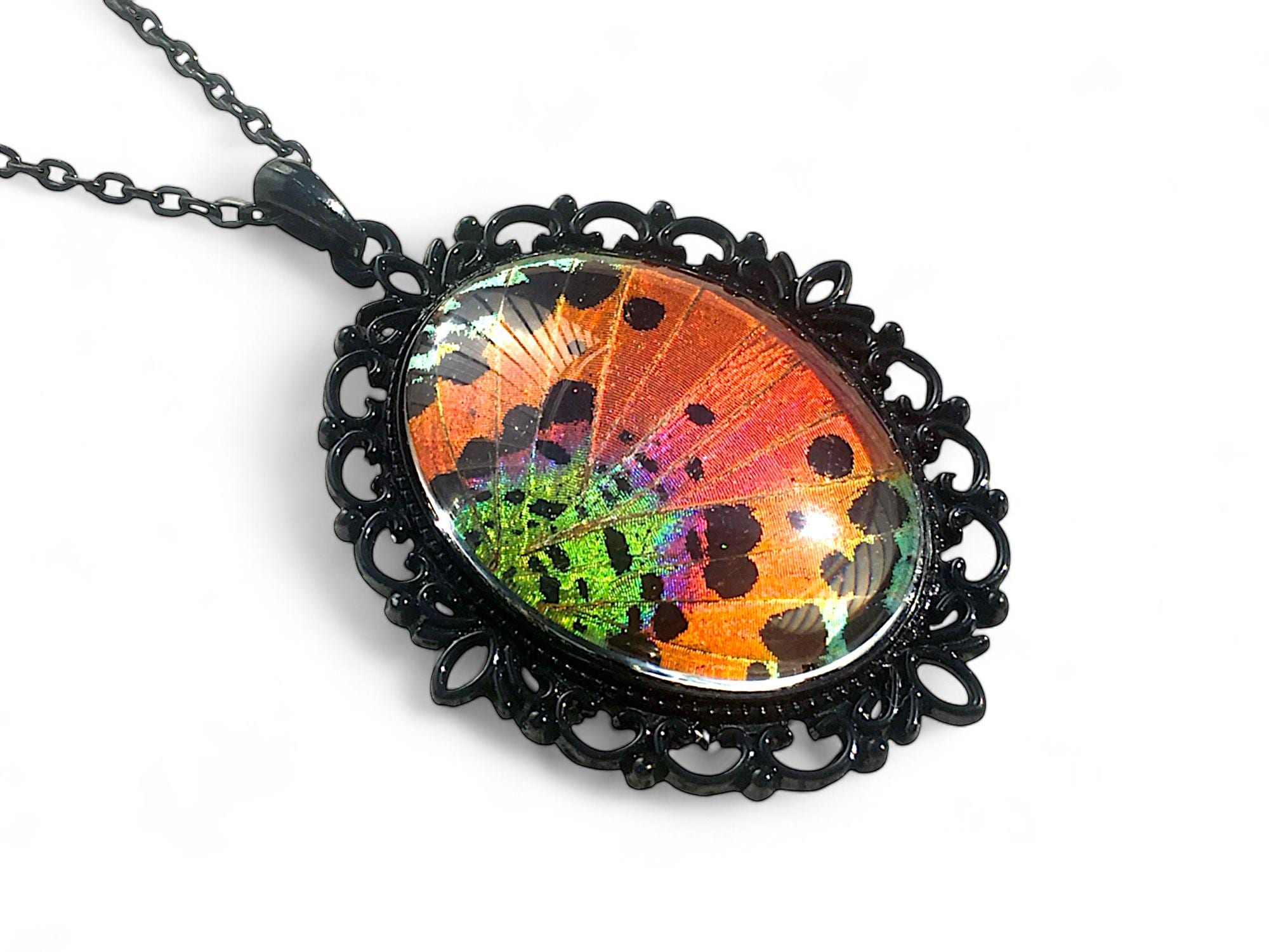 Real Butterfly wing necklace Pastel goth Long black necklace Pastel grunge Sunset Moth jewelry Black pearl Rainbow necklace Real insect