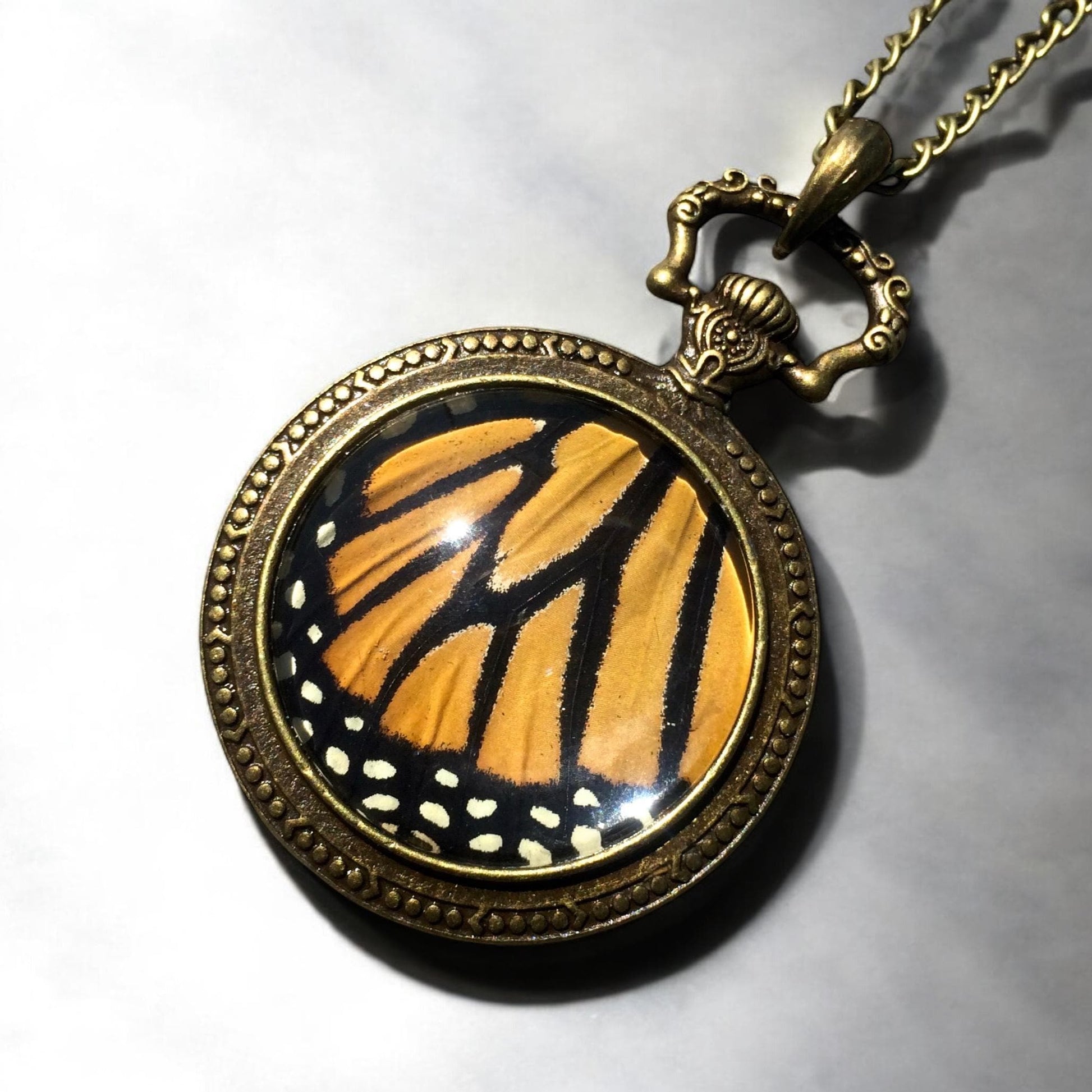 Real monarch butterfly wing necklace Ethically sourced taxidermy jewelry Steampunk pocket watch style necklace Pressed flower necklace
