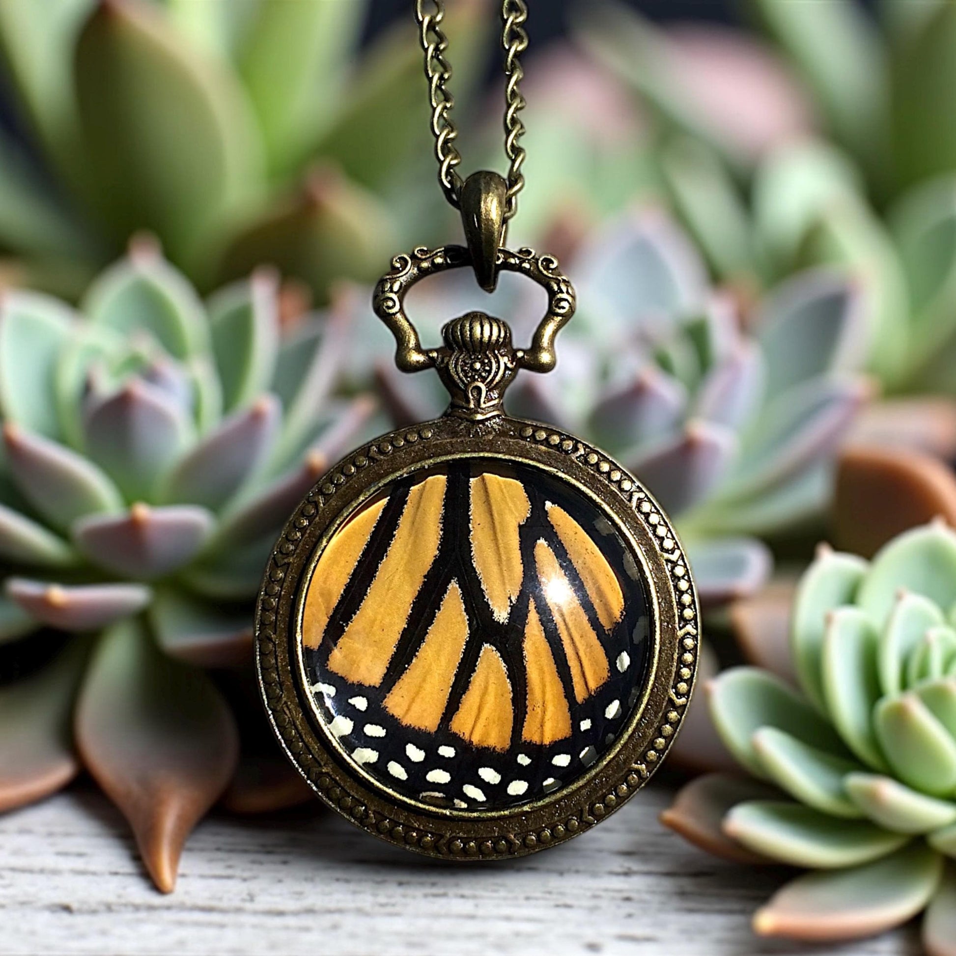 Real monarch butterfly wing necklace Ethically sourced taxidermy jewelry Steampunk pocket watch style necklace necklace