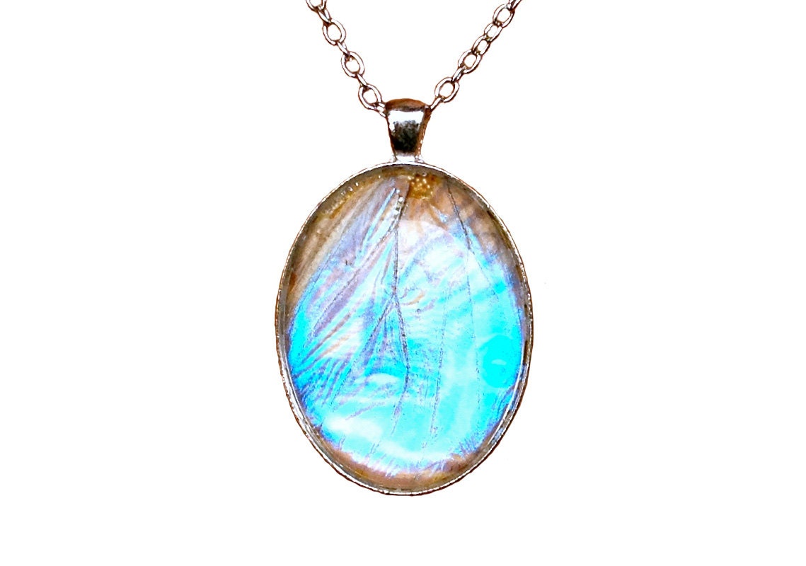 May include: A silver chain necklace with a round pendant featuring a blue butterfly wing encased in resin.