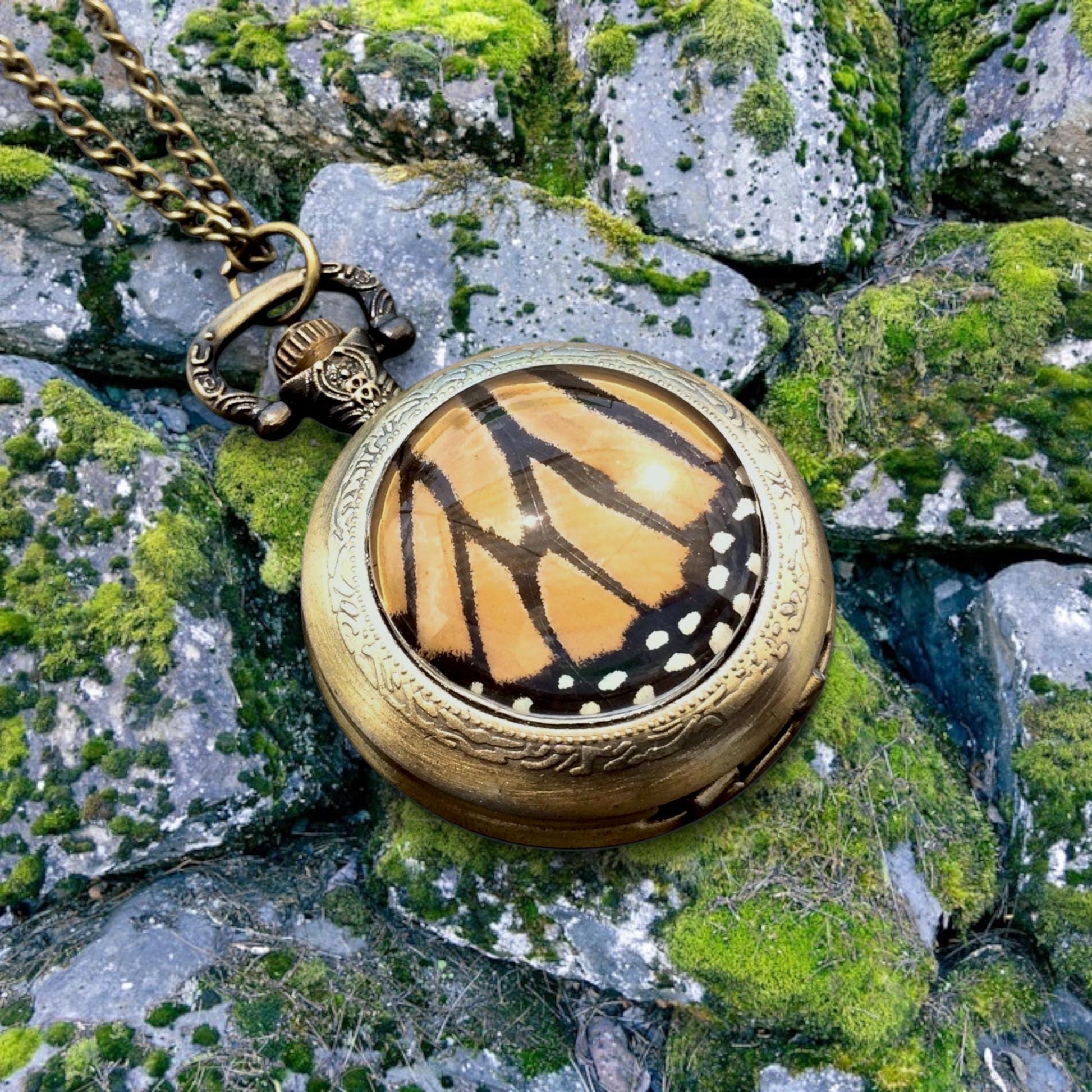 Real butterfly necklace Glass locket necklace Steampunk pocket watch necklace Fantasy jewelry Steampunk jewelry Working pocketwatch necklace