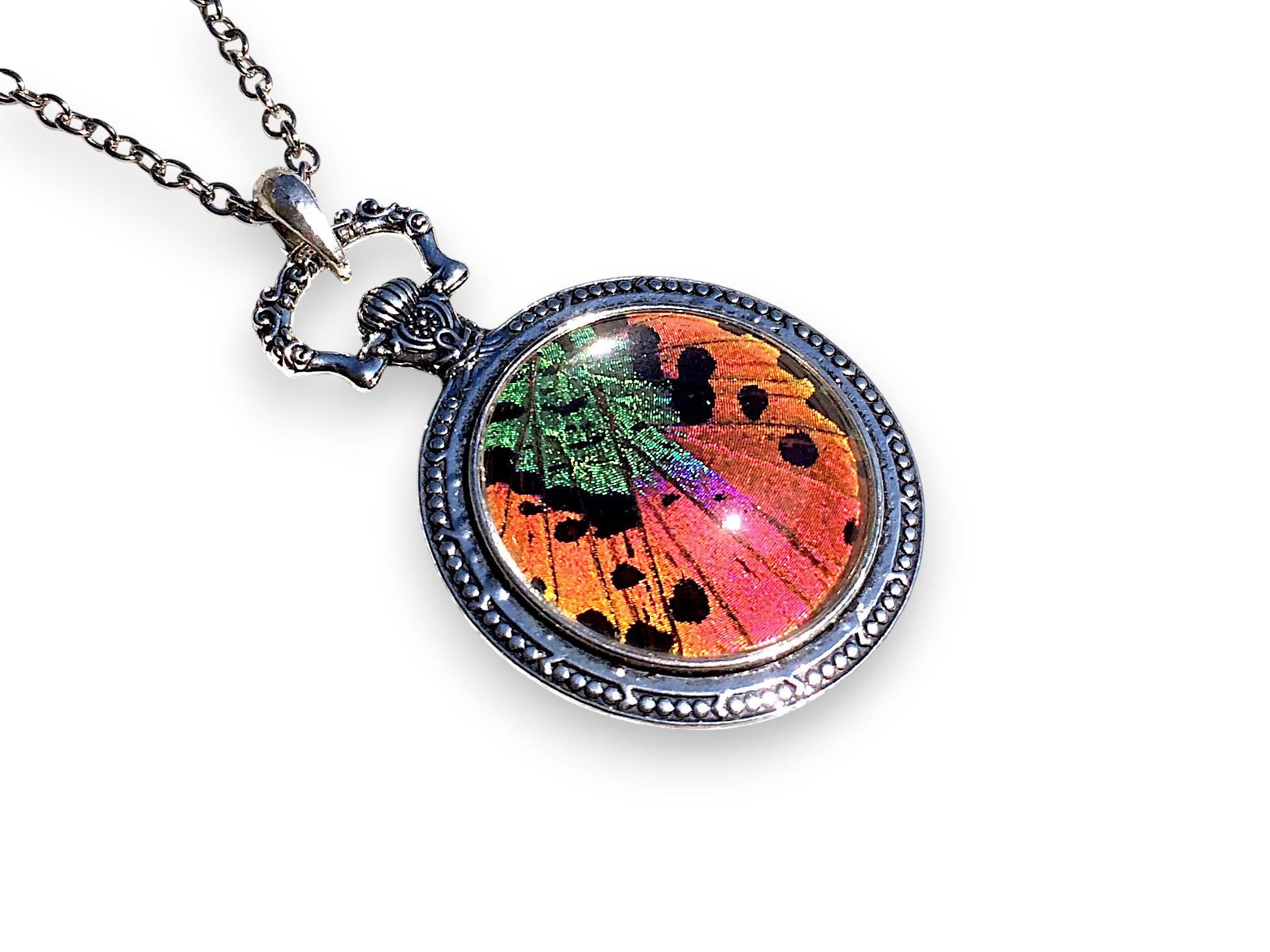 Real Sunset Moth necklace Sterling silver pocket watch chain necklace Framed moth taxidermy jewelry Chrysalis jewelry Vintage butterfly