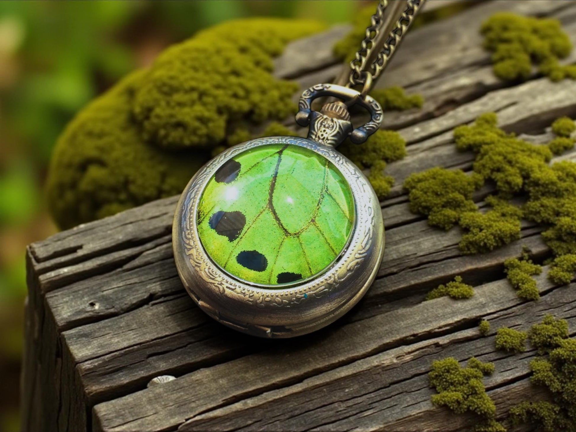 Real butterfly wing Steampunk pocket watch locket necklace Working watch necklace for men women Taxidermy insect Oddities and curiosities