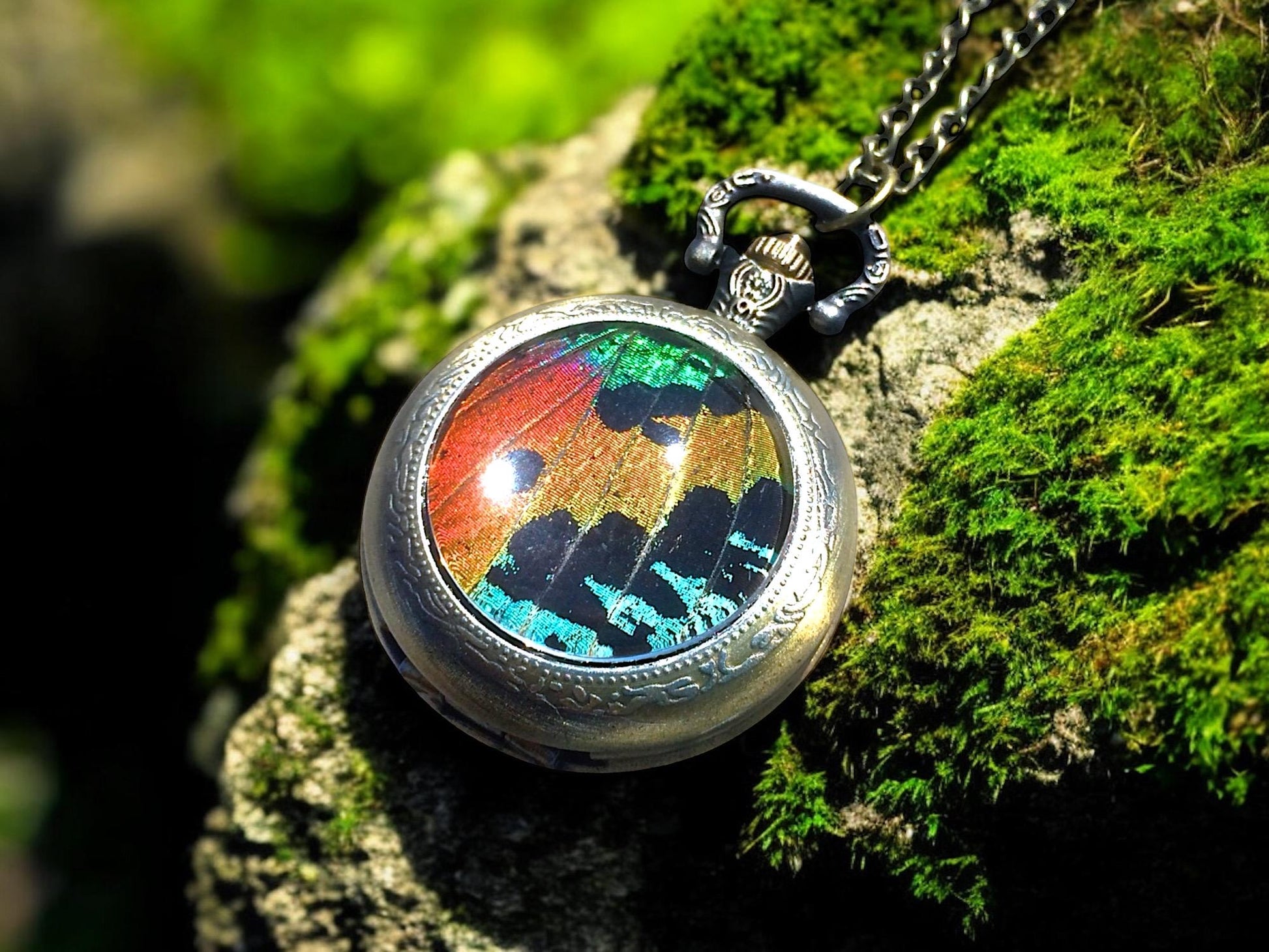 Real Sunset Moth Mechanical Pocket watch Necklace working Steampunk Pocketwatch moth patch preserved butterfly pressed butterfly rainbow