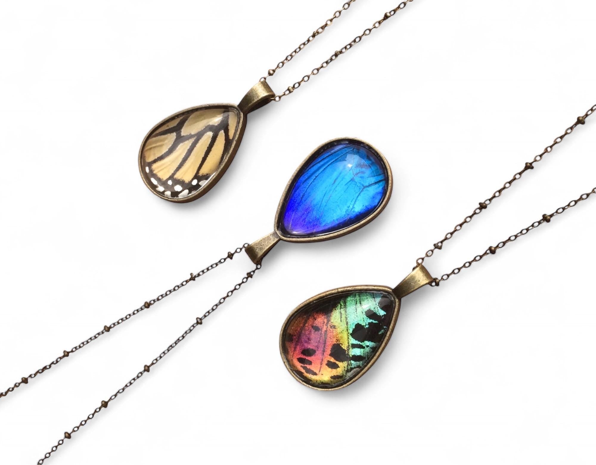 Nature jewelry Real Butterfly necklace Real butterfly jewelry Monarch butterfly necklace Taxidermy butterfly Blue Morpho Sunset moth bug