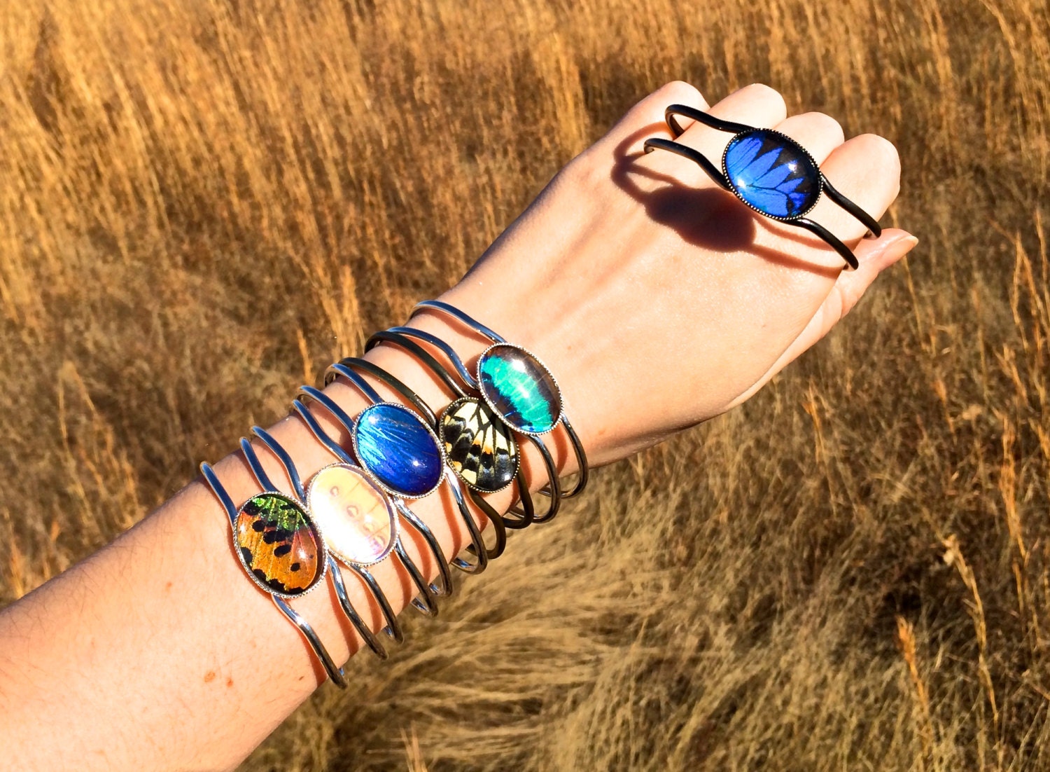 Nature bracelet Real Butterfly wing bracelet pressed flower bracelet science bracelet glass Cuff Gold Bangle swallowtail Asian bracelet