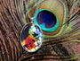 Sunset Moth Wing Pendant Real Insect Jewelry Statement Necklace Rainbow Butterfly Fairy Wings Entomology Antique Gold Silver Crystal