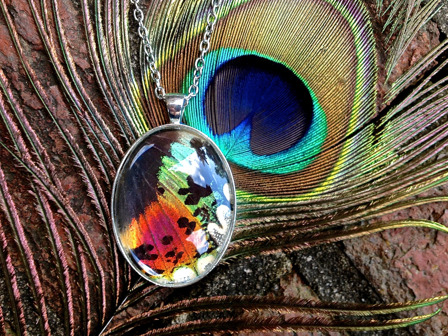 Sunset Moth Wing Pendant Real Insect Jewelry Statement Necklace Rainbow Butterfly Fairy Wings Entomology Antique Gold Silver Crystal