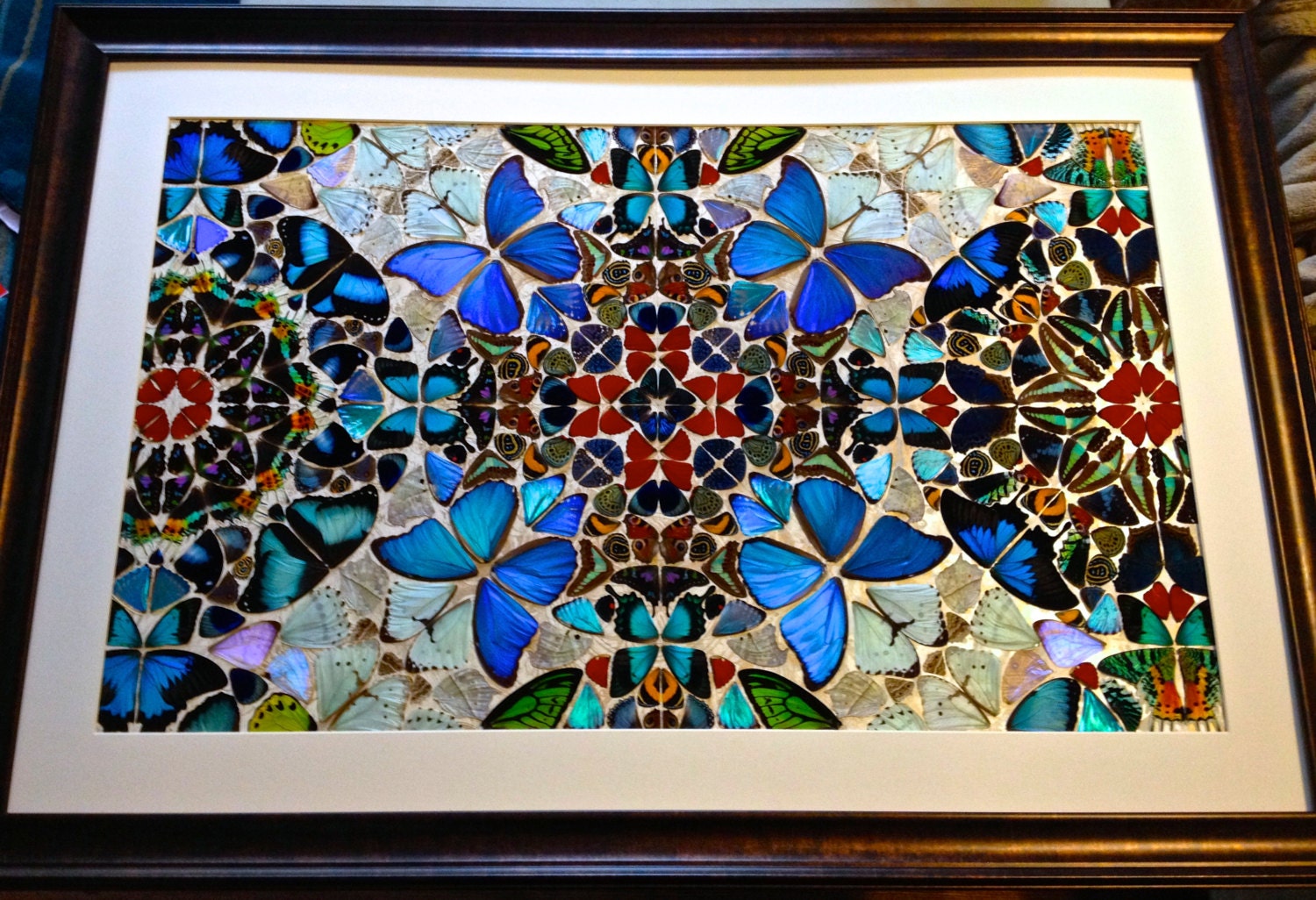 Real butterfly taxidermy art Framed butterfly wall art Oddities and curiosities Large framed wall art Mixed media Real butterfly wing art