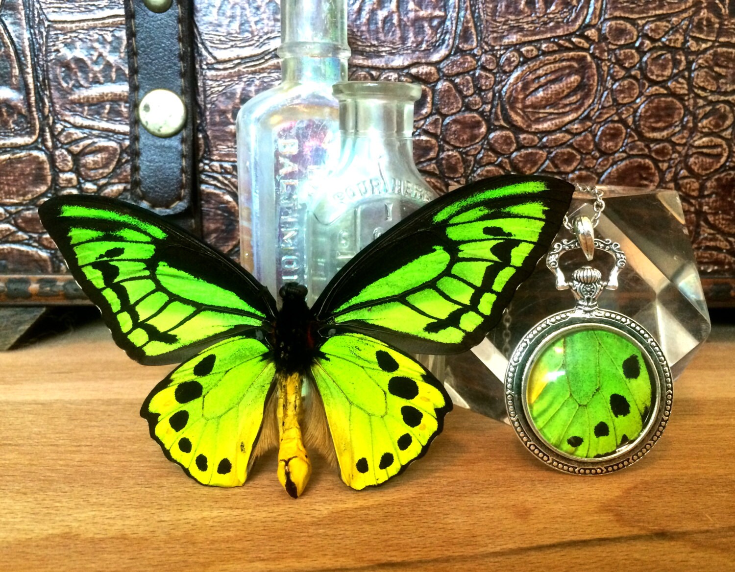 Real Butterfly wing necklace Green jewelry Moon phase necklace Silver Pocket watch necklace Insect jewelry Lime green Statement Necklace