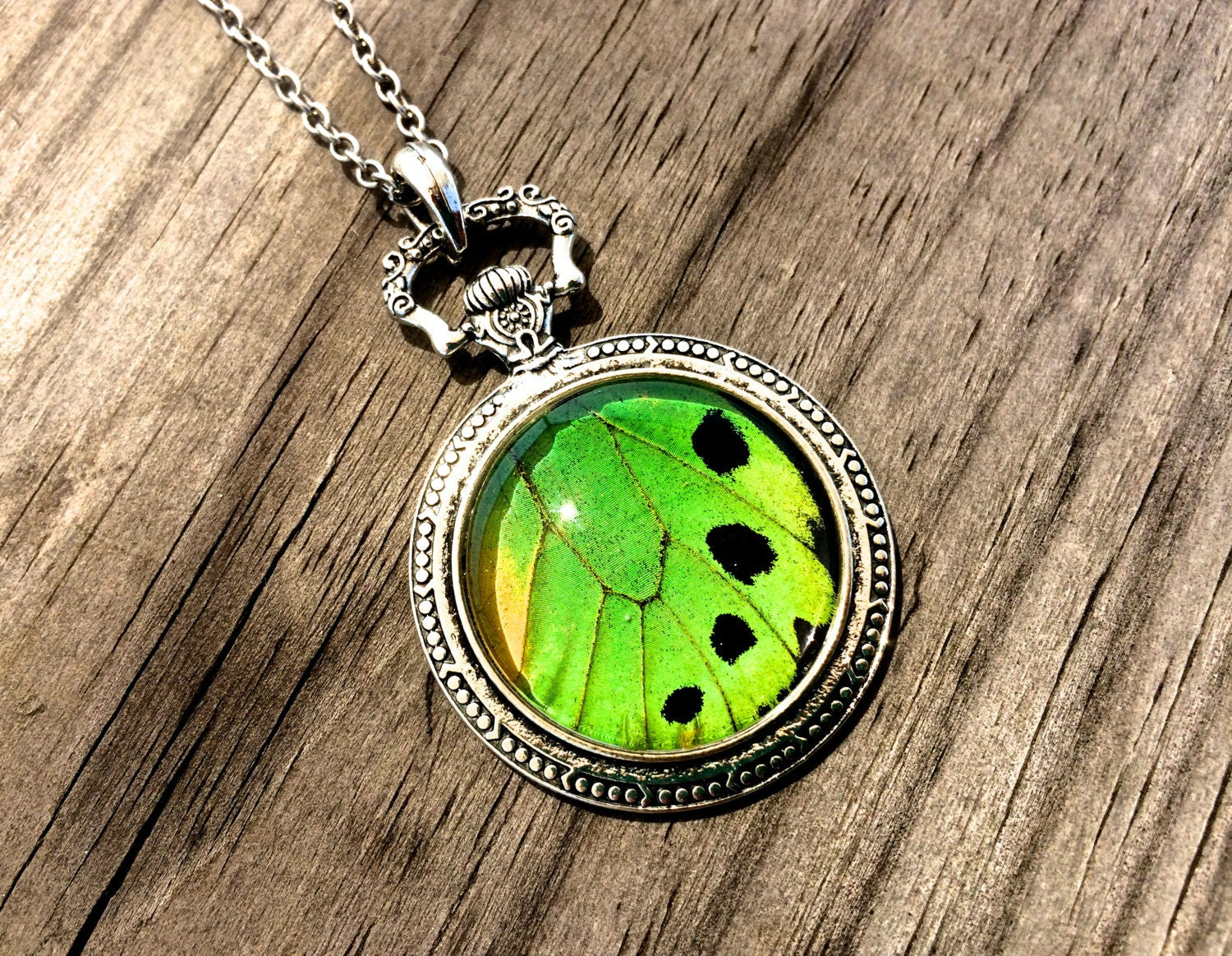 Real Butterfly wing necklace Green jewelry Moon phase necklace Silver Pocket watch necklace Insect jewelry Lime green Statement Necklace