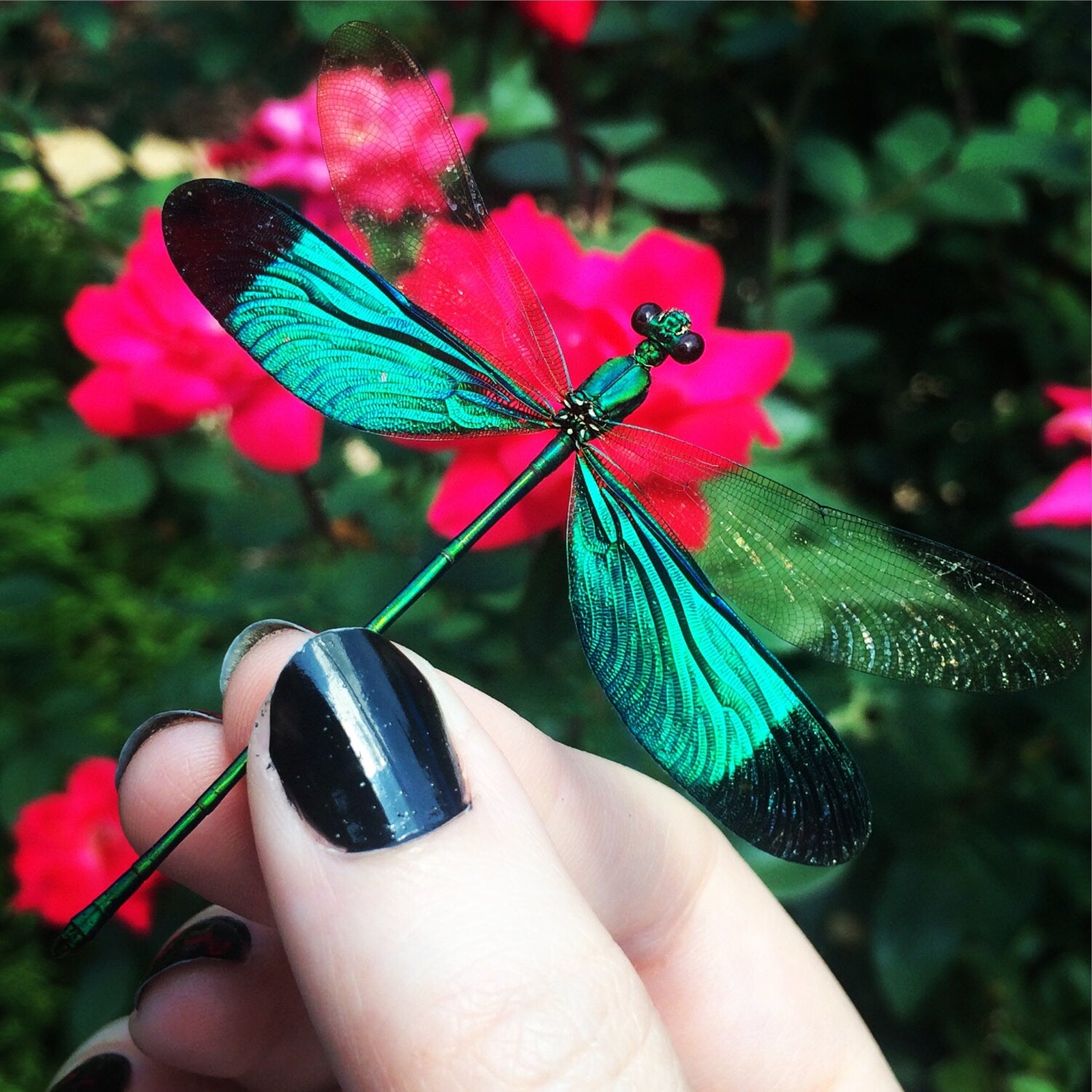 Real Dragonfly necklace sterling silver Dragon fly necklace Mother of Dragon wings Dragonfly jewelry gold Dragonfly gift for women