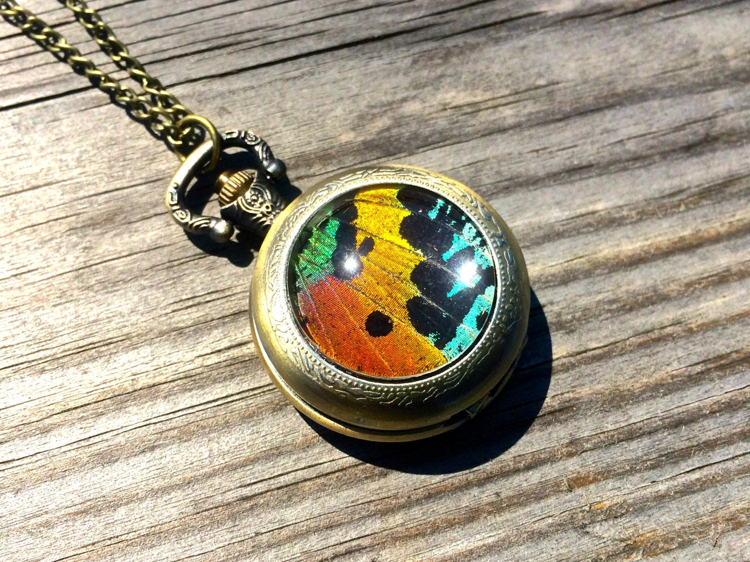 Real Sunset Moth Mechanical Pocket watch Necklace working Steampunk Pocketwatch moth patch preserved butterfly pressed butterfly rainbow