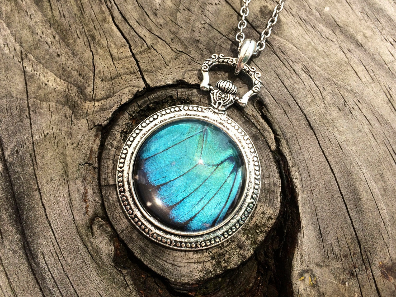 Real blue morpho butterfly necklace Something blue for bride Trending now in jewelry Boho turquoise necklace Silver watch necklace