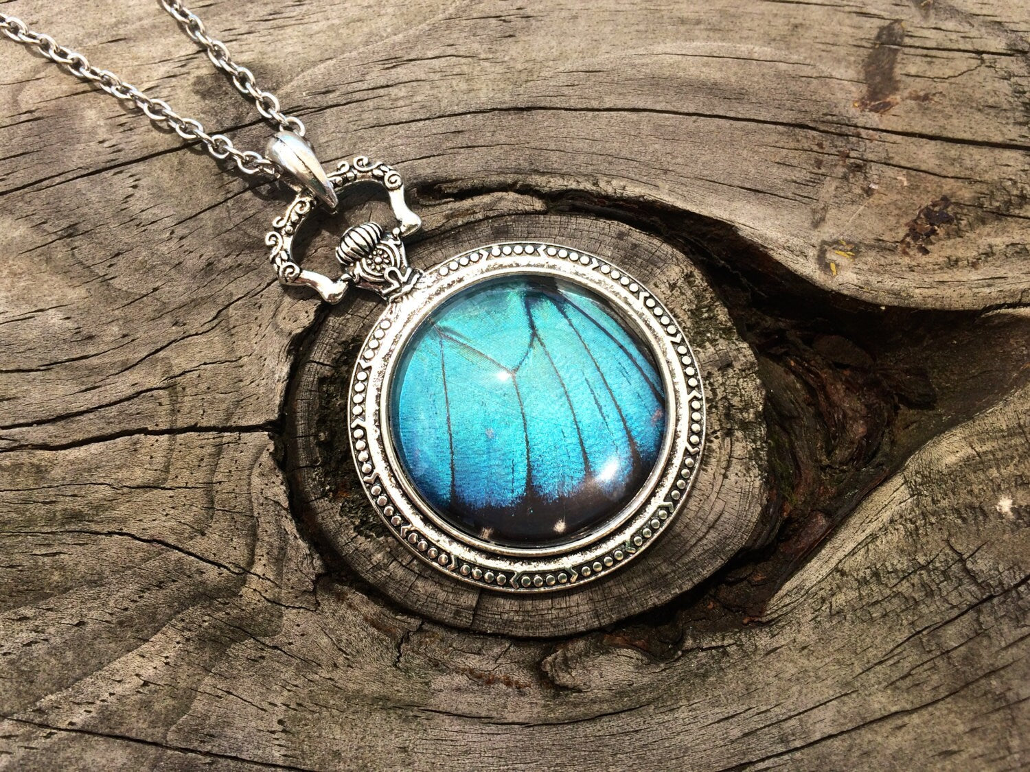 Real blue morpho butterfly necklace Something blue for bride Trending now in jewelry Boho turquoise necklace Silver watch necklace