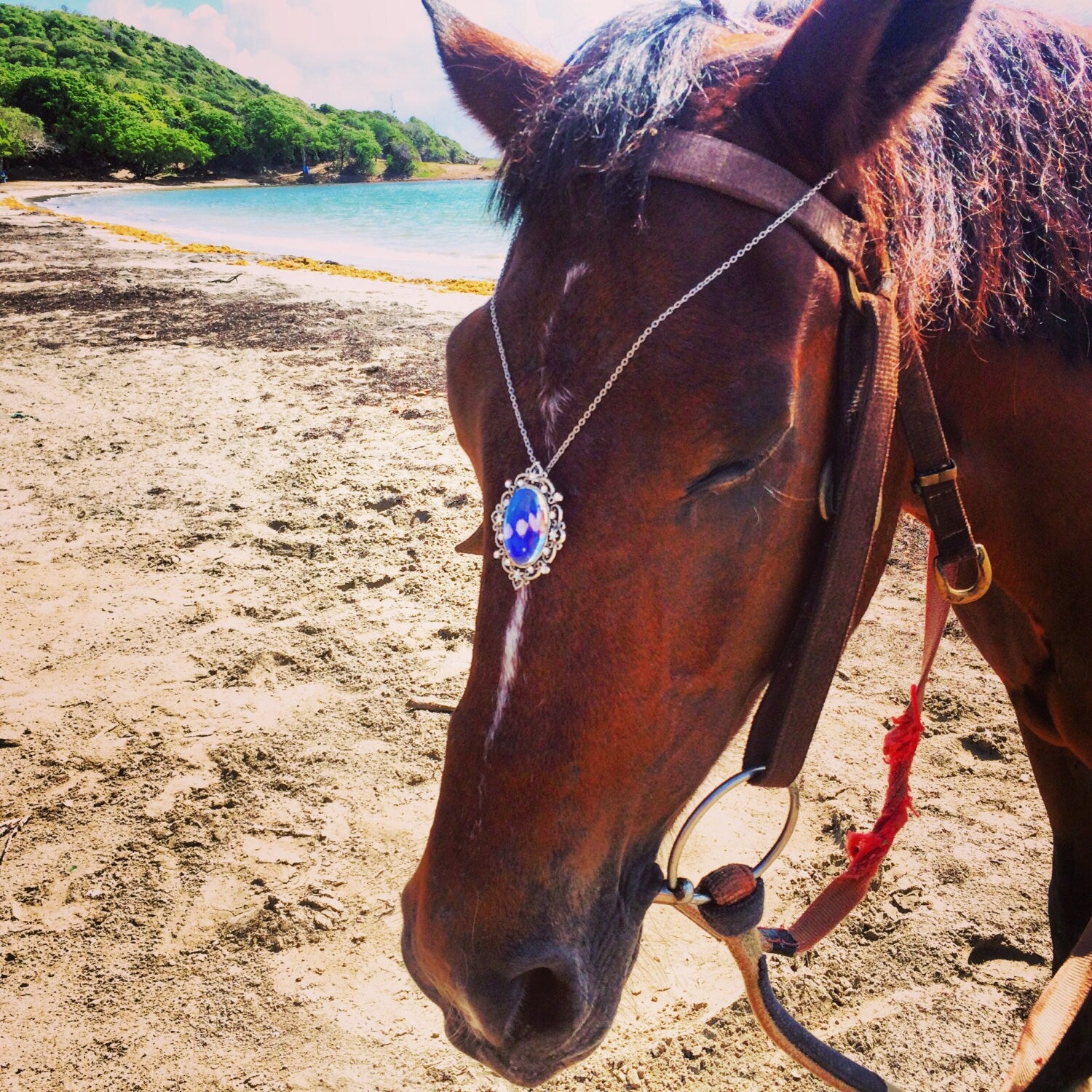 Glowing jewelry REAL Blue Morpho Butterfly Wing Necklace Blue crystal necklace Ocean necklace Antique silver pendant blue sapphire pendant