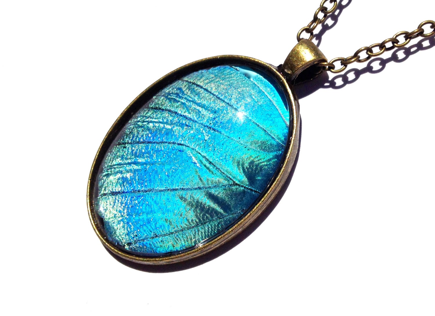 Real Mariposa butterfly necklace Nature jewelry Biology gifts Blue butterfly necklace Blue Morpho jewelry Life is strange Nature necklace