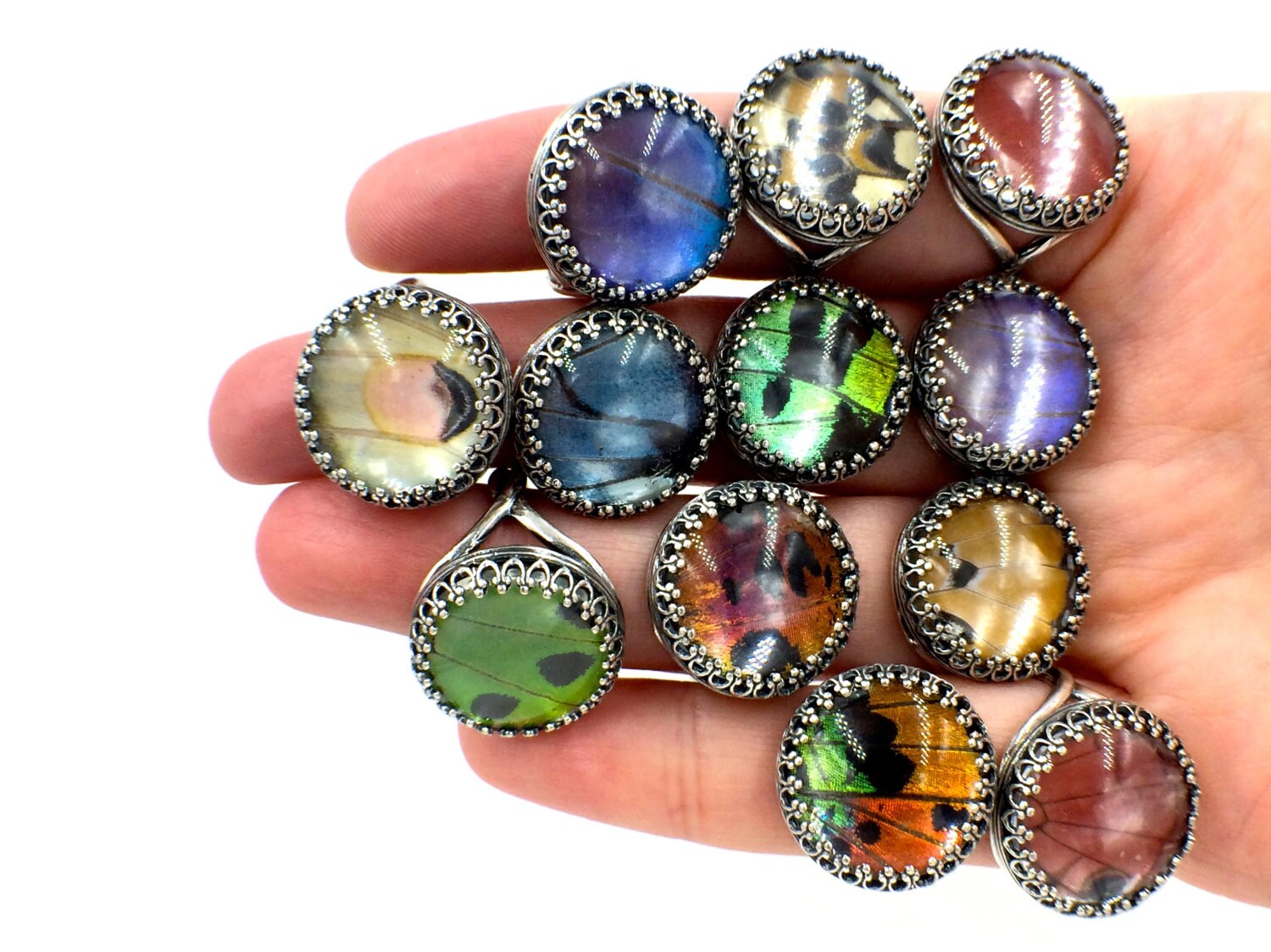 Real moth wings ring Cool rings Sunset Moth taxidermy ring Weird stuff Glass resin rings for women Oddities Moth ring Bug ring Insect ring