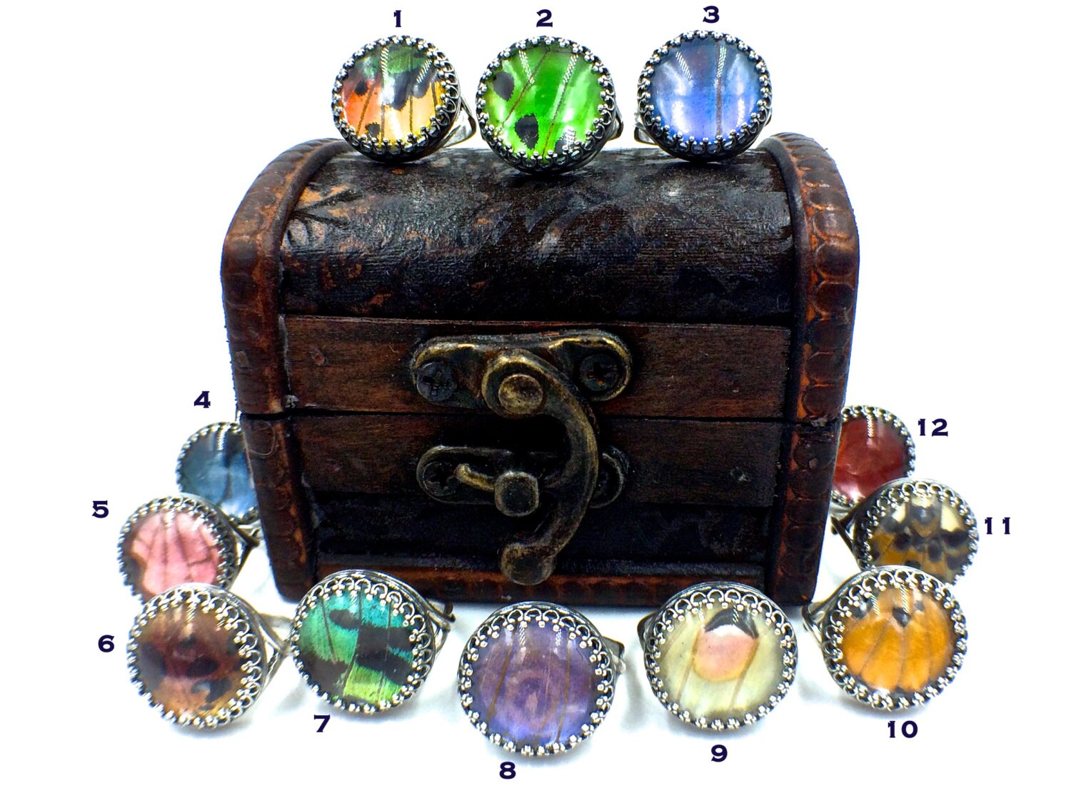 Real butterfly wing Jewelry Best friend rings for 2 Real butterfly wing ring Pressed flower ring Adjustable Sterling silver rings for women