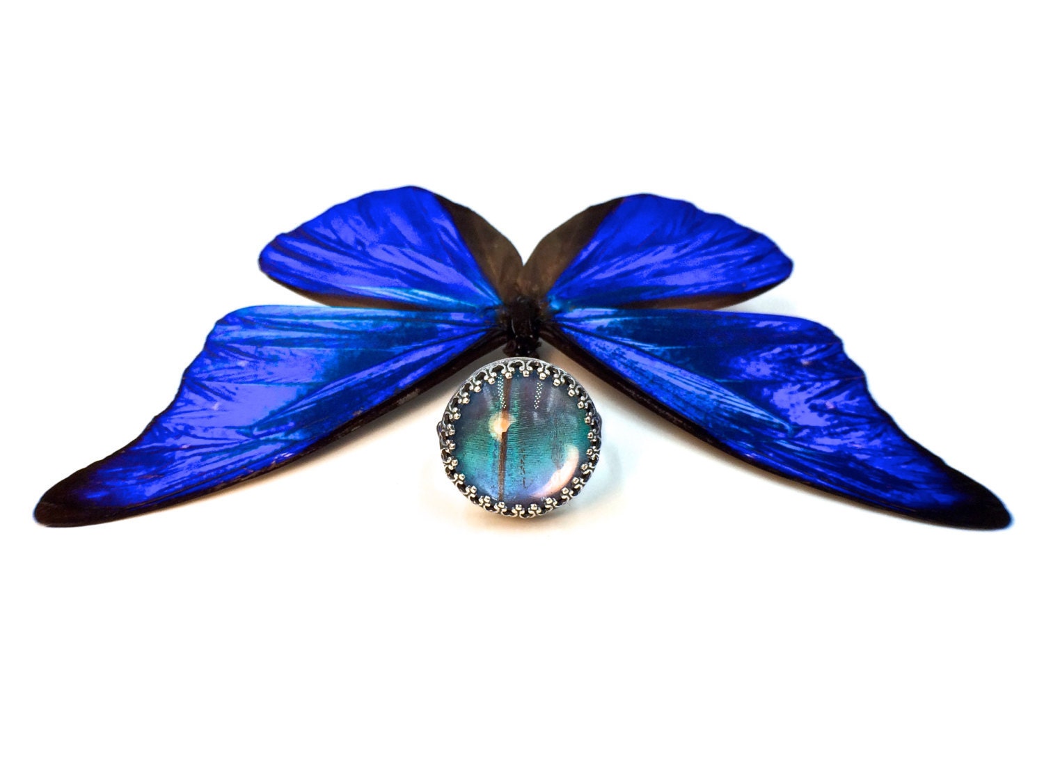 Real butterfly wing ring Blue butterfly ring sterling silver rings for women Celestial rings ring Blue Morpho butterfly ring